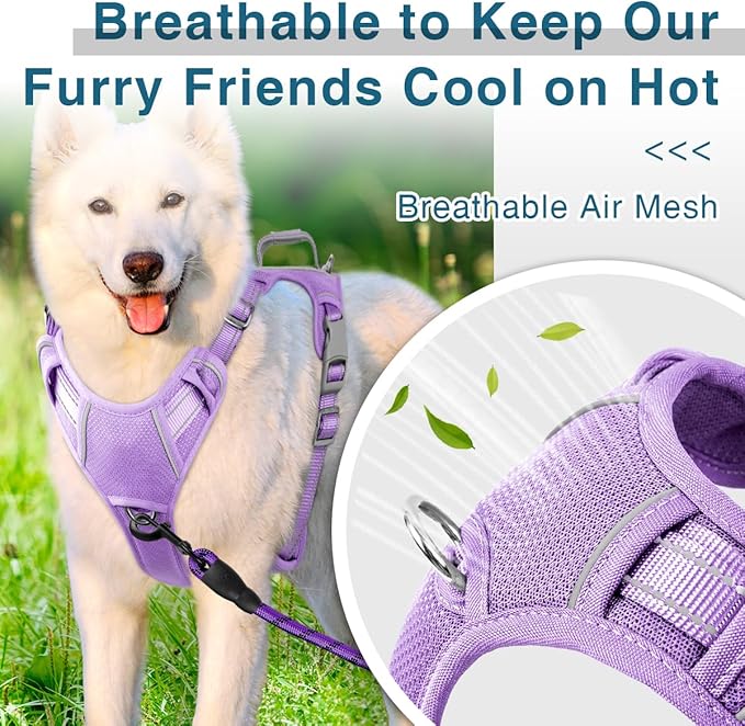 BARKBAY Dog Harness No Pull with ID Tag Pocket - Heavy Duty, Reflective, Easy Control for Large Dogs(Violet Purple,M)-Mewly Pet
