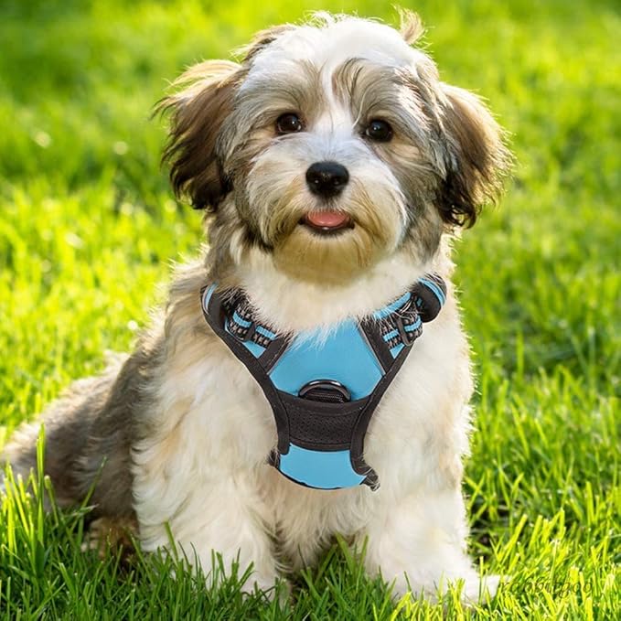 rabbitgoo Dog Harness No Pull with 2 Leash Clips, Adjustable Soft Padded, Reflective Oxford No Choke Pet Vest with Easy Control Handle for Small Dogs, Blue, S-Mewly Pet