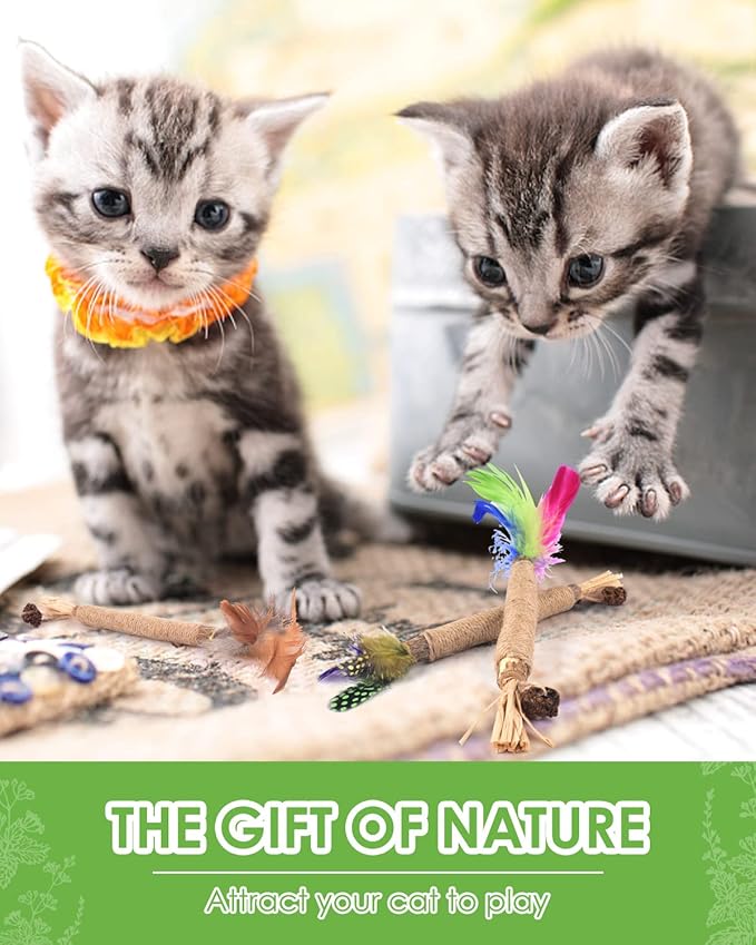 TINDTOP Silvervine Chew Sticks for Cats, Natural Catnip Chew Toys for Kittens Teeth Cleaning, Matatabi Dental Care, Increase Appetite, Calm Cat Anxiety and Stress, Cat Dental Toy (3 Pack)-Mewly Pet