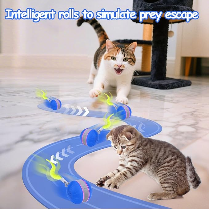 AIERSA Interactive Cat Toys for Indoor Adult Cats, Automatic Self-Play Cat Ball Toy for Kitten to Keep Them Busy, Electric Moving Chase Toy (Blue)-Mewly Pet