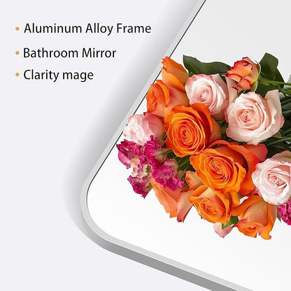 24" x 48"Bathroom Mirror, Sliver Wall Mirror with Metal Frame, Decorative Rectangular Vanity Mirror for Bedroom Bathroom Living Room Entryway (Horizontal/Vertical)