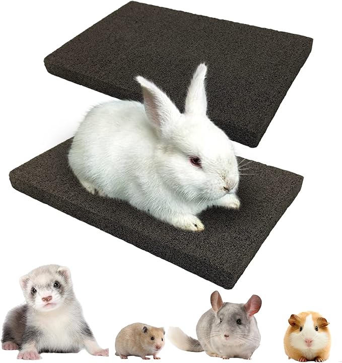 BNOSDM Rabbit Grinding Claw Pads 2 Pack Bunny Scratch Foot Pads Natural Hamster Lava Stone for Teeth Grinding Black Guinea Pig Scratching Board Chew Toy for Ferret Chinchilla Mouse-Mewly Pet