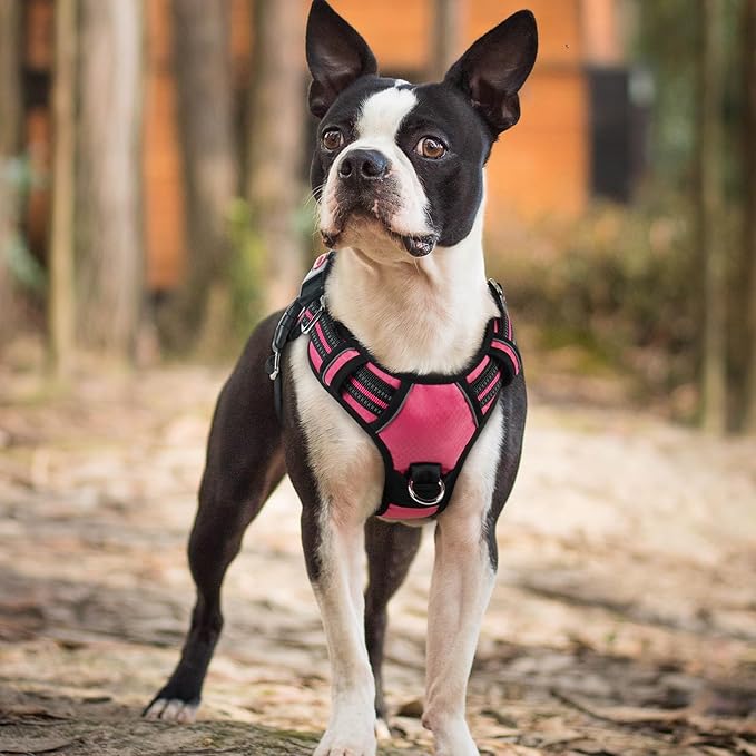 rabbitgoo Dog Harness Small Sized, No Pull Dog Vest with 3 Buckles, Adjustable Soft Padded Pet Harness with Easy Control Handle and Reflective Strips, Pink, S-Mewly Pet