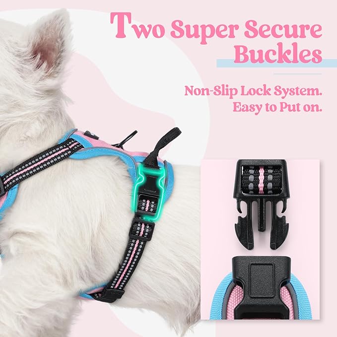 rabbitgoo Dog Harness No Pull with 2 Leash Clips, Adjustable Soft Padded, Reflective Oxford No Choke Pet Vest with Easy Control Handle for Puppy, Pink & Blue, XS-Mewly Pet