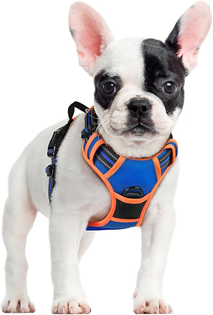 rabbitgoo Dog Harness No Pull with 2 Leash Clips, Adjustable Soft Padded, Reflective Oxford No Choke Pet Vest with Easy Control Handle for Small Dogs, Blue & Orange, S-Mewly Pet