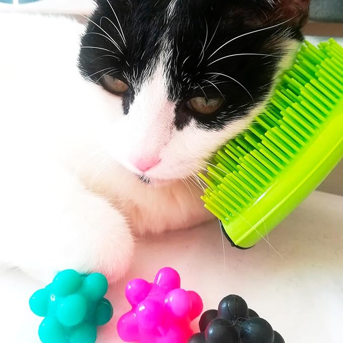 Michel Mercier Pet Detangling Brush - Fine or Normal Fur - Cat & Dog Brush for Grooming, Detangling & Deshedding - 1 pc-Mewly Pet