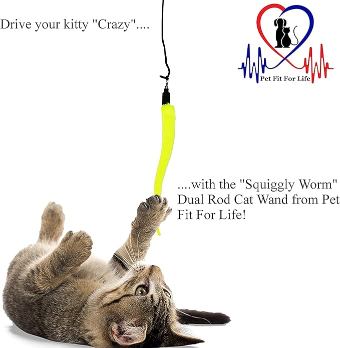 Pet Fit For Life Cat Wand Toy: 5-Piece Worm Teaser & Exerciser - Durable Flirt Pole/Cat Teaser Toy – Interactive Fun for Feline Fitness-Mewly Pet