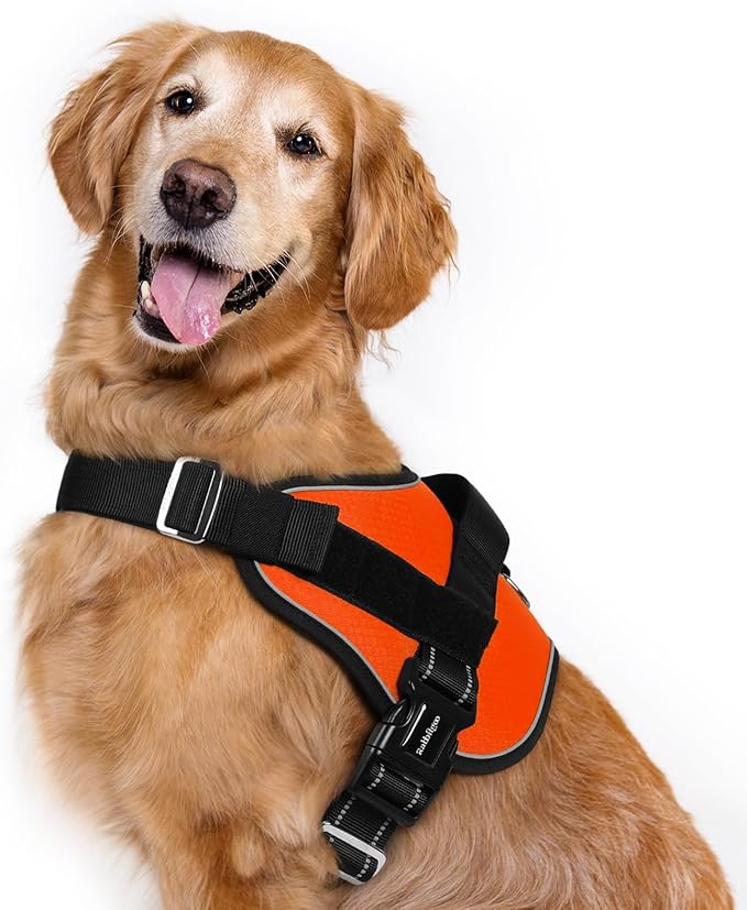 rabbitgoo Dog Harness for Large, Easy On Pet Vest with One Buckle, No Pull Adjustable Service Harness with D-Ring & Handle, Reflective for Safety Walking, Training, Orange, XL-Mewly Pet