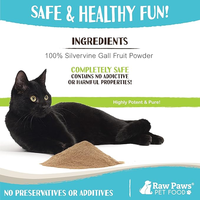 Raw Paws Silvervine Powder, 75 Grams - 2X More Attractive than Catnip for Cats, 100% Silver Vine Gall Fruit Powder, Matatabi Silvervine Cat Toy for Indoor Cats, Catnip Kitten Toys, Silvervine for Cats-Mewly Pet