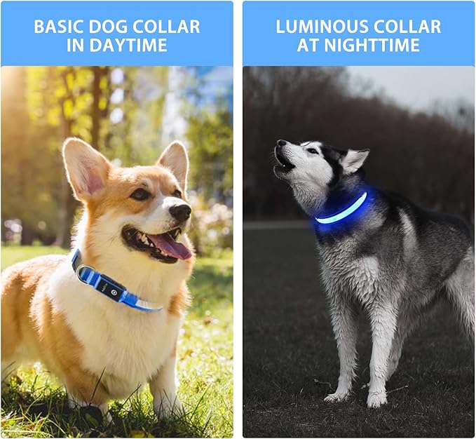 PcEoTllar Light up Dog Collar for Night Walking - LED Dog Collar Light Rechargeable Color Changing, Glow in The Dark Dog Collars Waterproof Glowing Dog Collars for Large Small Medium Dogs-Mewly Pet