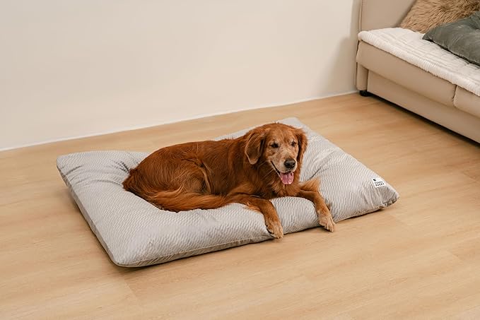 FUNNY FUZZY Washable Dog Bed,Reversible Plush Dog Crate Mat, Soft Fluffy Kennel Pad,Pet Sleeping Mattress for Jumbo,X-Large Sized Dogs Breeds,2XL,48"× 31",Light Grey-Mewly Pet