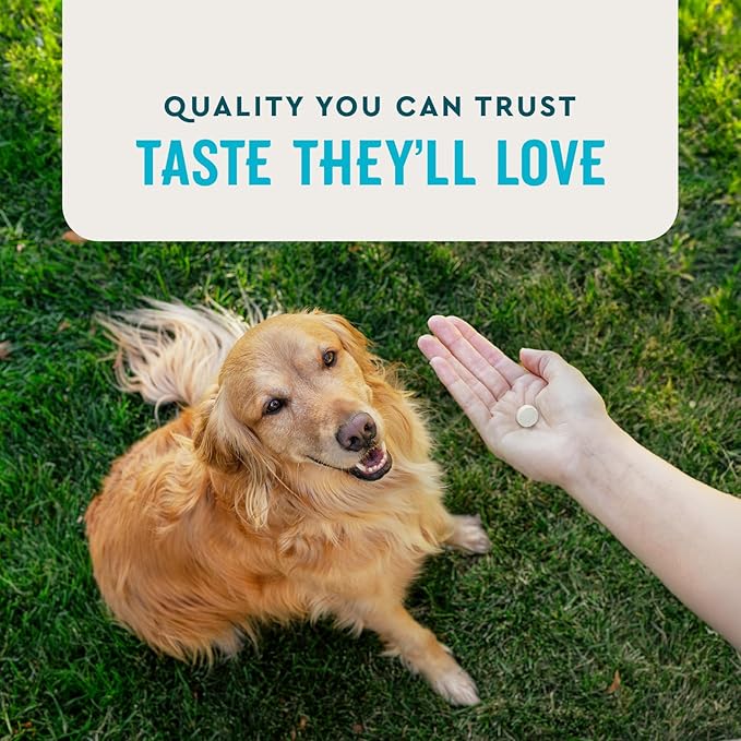 VetIQ Hip & Joint Health Supplement for Dogs, with Glucosamine, Chondroitin & MSM, Chewable Tablets for Dogs, Chicken Flavor, 60 Count-Mewly Pet