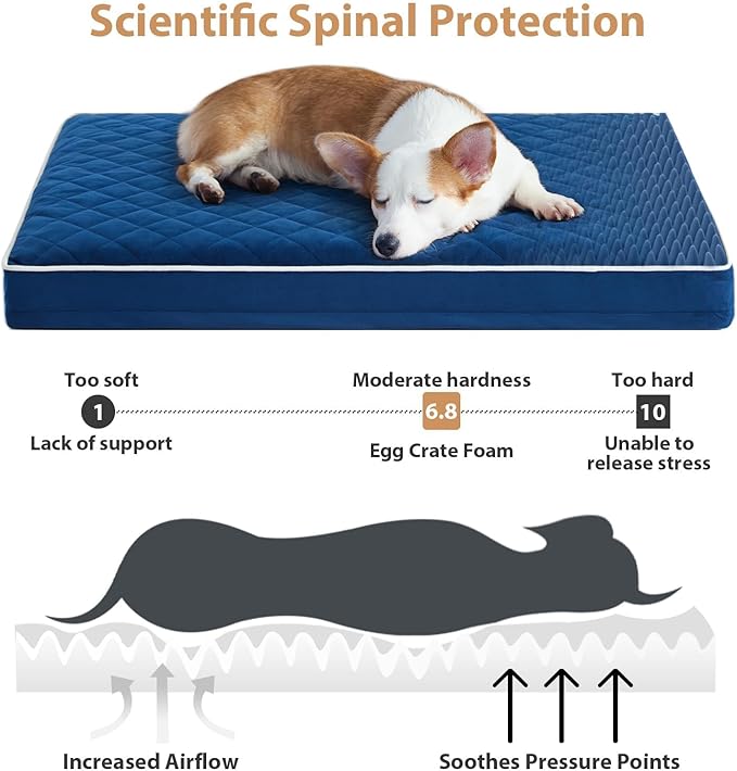 WNPETHOME Orthopedic Giant Dog Beds Large Sized Dog, Waterproof Extra Large Dogs Bed with Removable Washable Cover, Multi-Needle Quilting Dogs Crate Bed-Mewly Pet