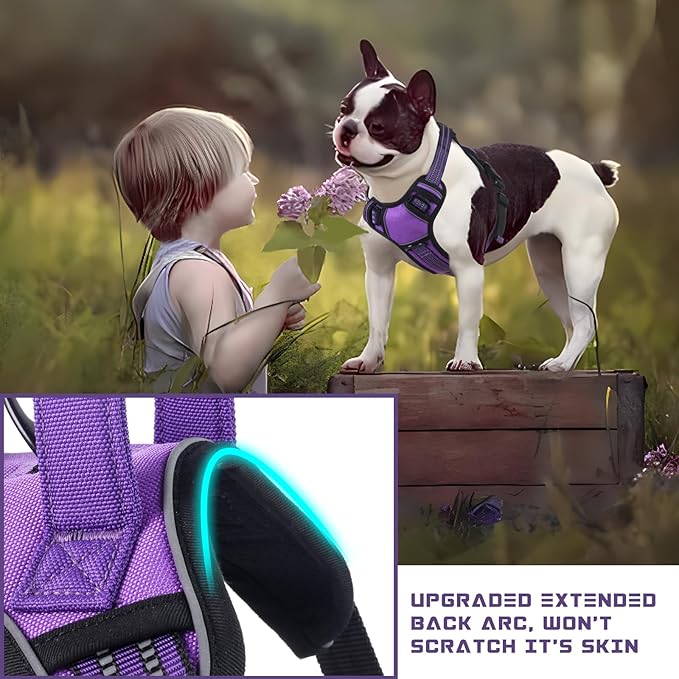 BUMBIN Dog Harness for Large Dogs, No Pull Adjustable No Choke Pet Vest with Dog Leash Fit Smart Reflective Pet Walking Harness for Training Easy Control Soft Handle Purple S-Mewly Pet