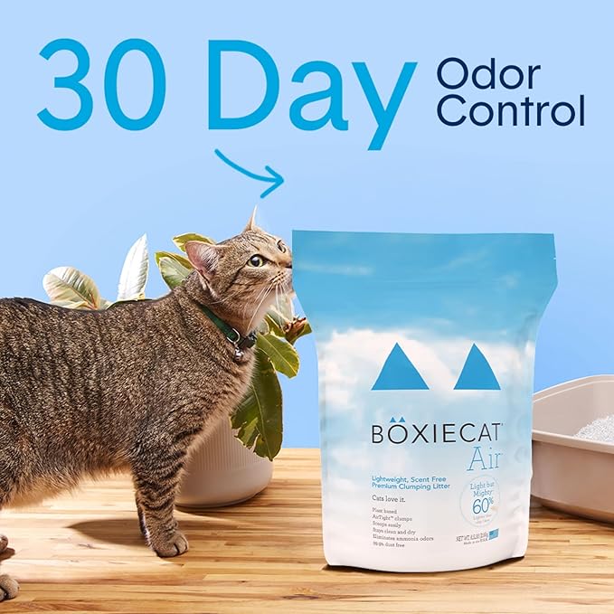 Boxie® Unscented 30 Day Natural Odor Control Cat Litter, 6.5lb Lightweight Plant Based Kitty Litter-Mewly Pet