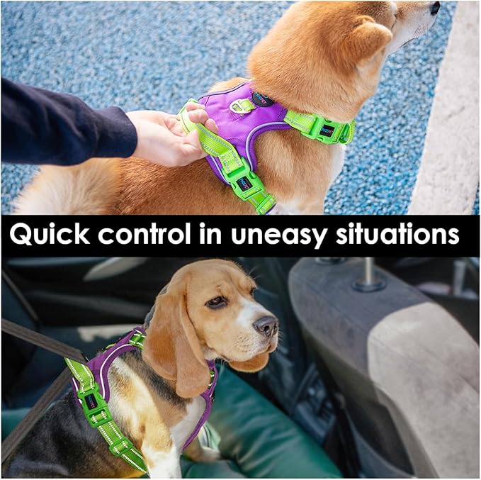 PHOEPET No Pull Dog Harness, Unique Colors Reflective Adjustable Dog Vest, with Soft Training Handle Metal Clips for Small Medium Large Dogs (Purple Base & Green Straps,L)-Mewly Pet