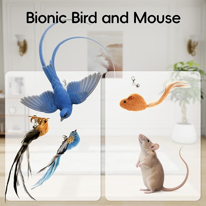 Interactive Bird Simulation Cat Feather Toy Set Cat Retractable Wand Toys Suction Cups Base,Include Detachable 7 Pcs Replacements Feathers Toys-Mewly Pet