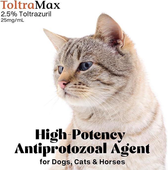Vetr's Toltramax Toltrazuril Powder for Horses, Dogs, Cats, 100g (2.5%, Beef)-Mewly Pet