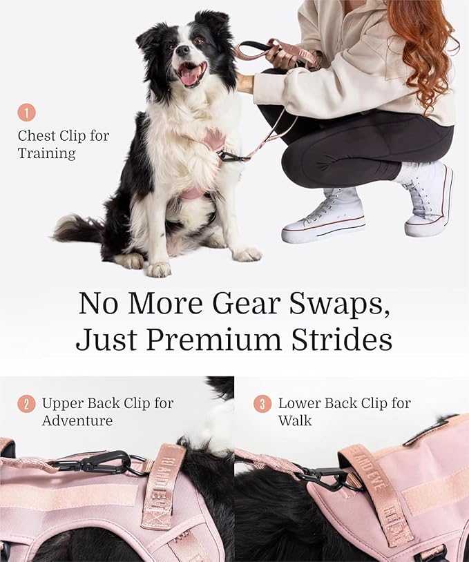 2025 New Edition, Fei & Eve MagEase Dog Harness - 3-Second Magnetic Buckles | 3-Point No-Pull Control | Heavy-Duty 900D Nylon | Dual Safety Handles | Breathable Mesh | Adjustable Fit | X-Large, Pink-Mewly Pet