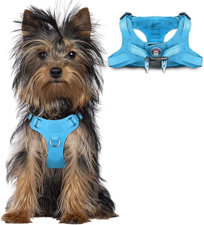 BARKBAY Dog Harness, Reflective Adjustable Puppy No Pull Harness, Breathable Soft, Blue, XXS-Mewly Pet