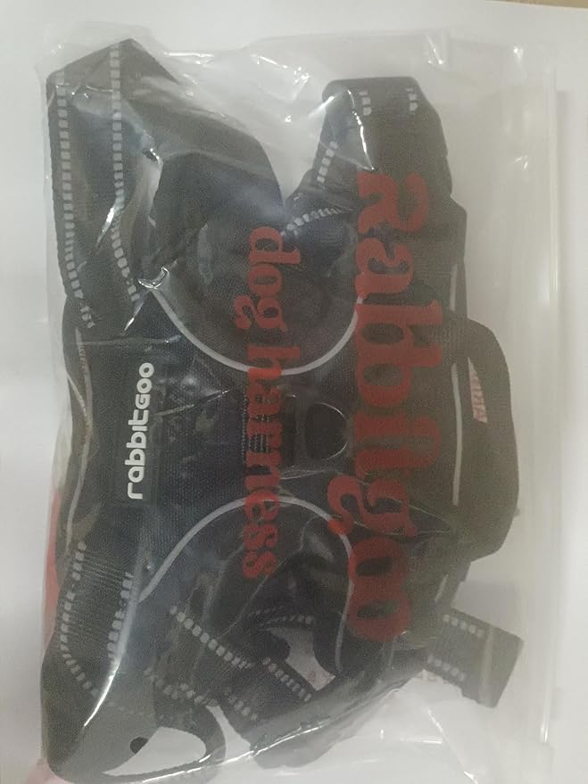 rabbitgoo Dog Harness No Pull with 2 Leash Clips, Adjustable Soft Padded, Reflective Oxford No Choke Pet Vest with Easy Control Handle for Small Dogs, Blue Coral, S-Mewly Pet