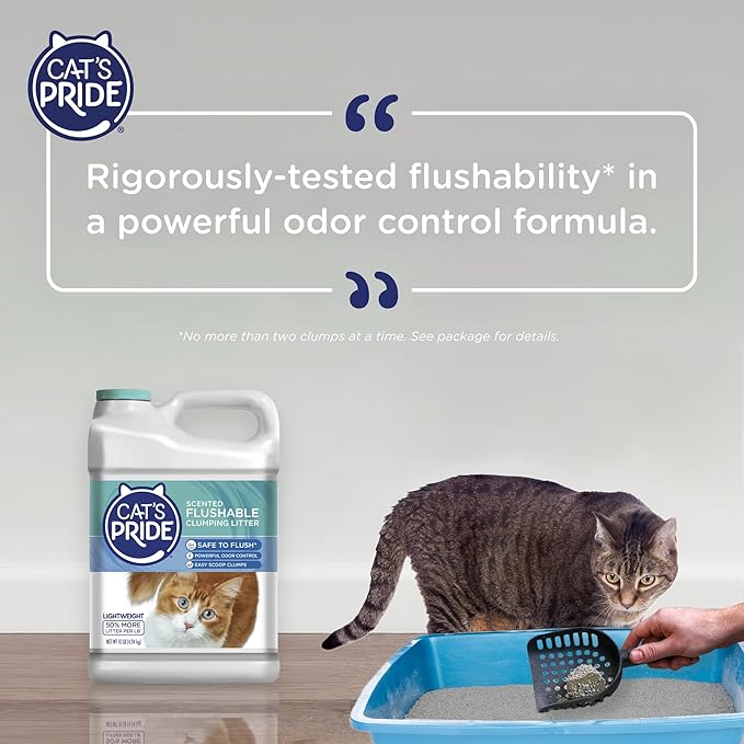 Cat's Pride Lightweight Clumping Litter: Flushable - Powerful Odor Control - Scented, 10 Pounds-Mewly Pet