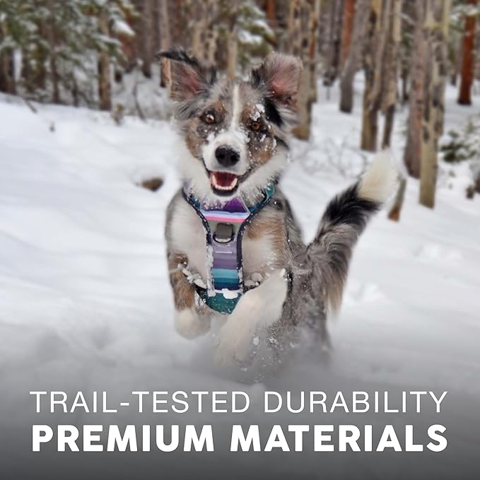 Embark Adventure Dog Harness, No-Pull Reflective Trim Dog Harness for Small, Medium & Large Dogs - Heavy Duty Oxford, 2 Leash Clips & Gel Lined Handle. Soft & Padded Puppy Dog Vest for Any Breed-Mewly Pet