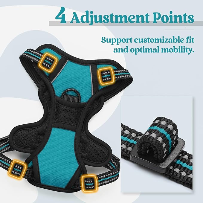rabbitgoo Dog Harness No Pull with 2 Leash Clips, Adjustable Soft Padded, Reflective Oxford No Choke Pet Vest with Easy Control Handle for Puppy, Teal, XS-Mewly Pet
