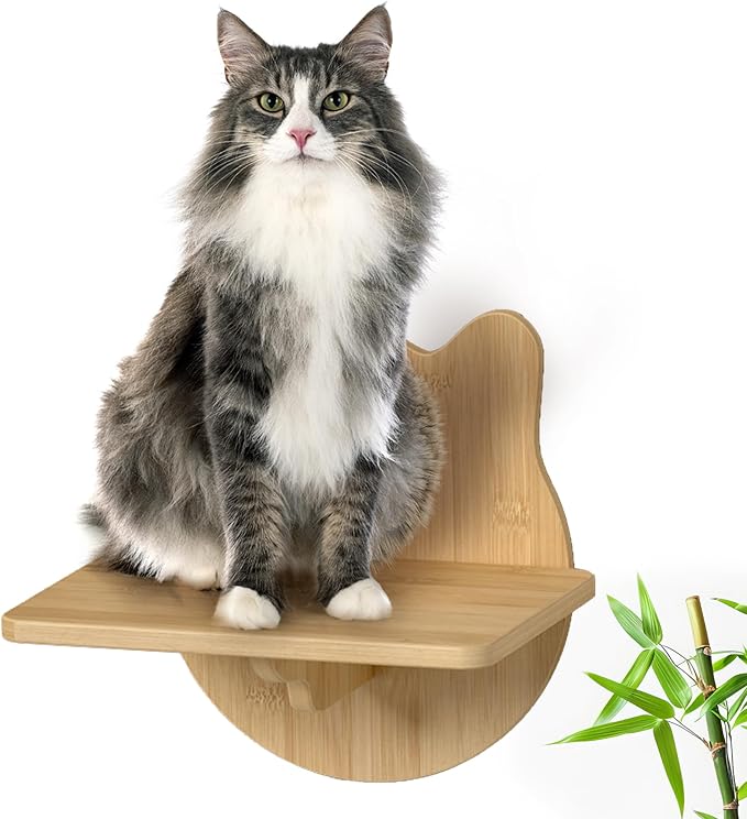 Wall-Mounted Cat Furniture for Climbing - Indoor Wooden Floating Shelves, Perches, Hammock, Bed, Bridges, Walkways - Different Models-Mewly Pet