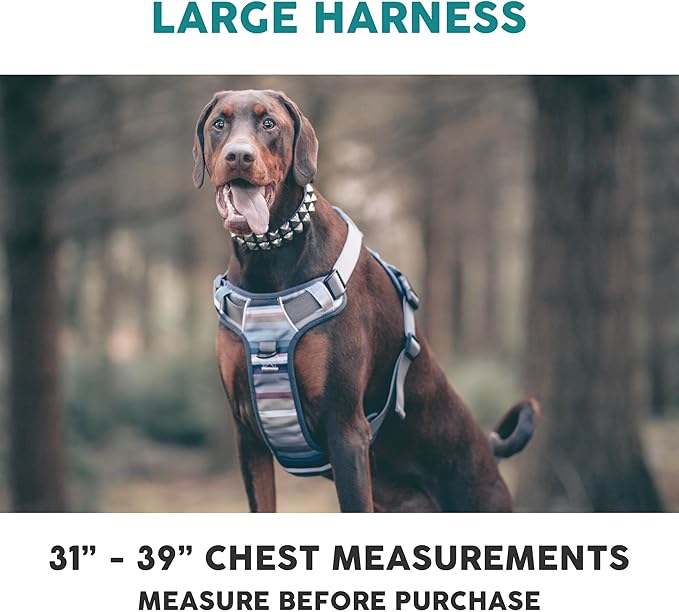 Embark Adventure Dog Harness, Reflective Trim No Pull Harness for Large Dogs - Military Grade Nylon, Front Clip with Gel Lined Handle. Soft & Padded Puppy Harnesses for Any Breed-Mewly Pet