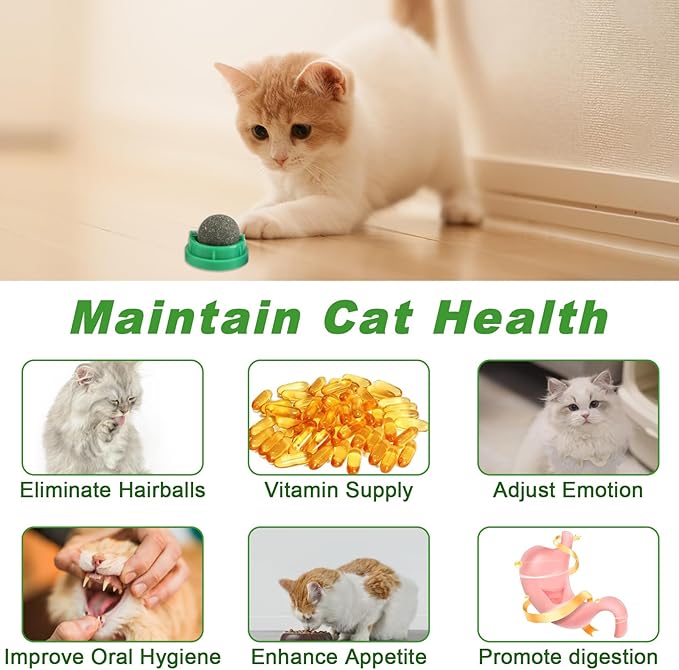 KIMOBER 6 Pack Catnip Ball for Cats,Edible Kitten Chew Toys with Catnip Silvervine Gall Fruit Flavors for Cats Lick Dental Teeth Cleaning Cats Wall Treats-Mewly Pet