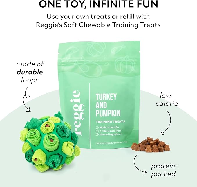 Reggie Forager Ball for Dogs | Mealtime Enrichment Toy | Reduces Boredom, Hyperactivity, Stress | Vet-Approved & Ideal for All Ages, Breeds, and Sizes (Forager Ball - Turkey & Pumpkin)-Mewly Pet