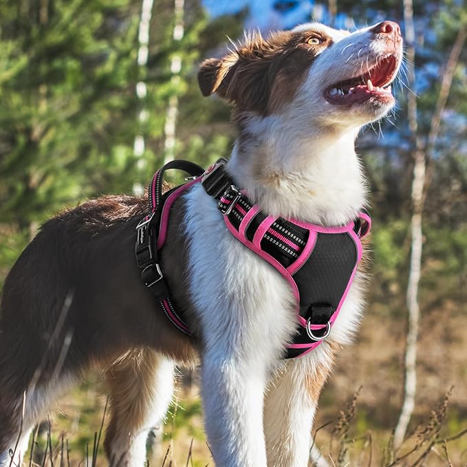 rabbitgoo Dog Harness Medium Sized, No Pull Dog Vest with 3 Buckles, Adjustable Soft Padded Pet Harness with Easy Control Handle and Reflective Strips, Black & Rose Pink, M-Mewly Pet