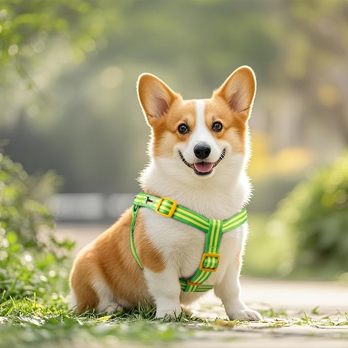 Stripe Step in Dog Harness for Small Dogs, Freedom Nylon Dog Halter Vests, Lightweight and Escape Proof Puppy Harness, Quick Fits for Small Medium and Large Dogs, Green L-Mewly Pet