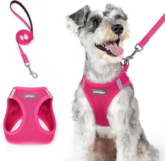 rabbitgoo Dog Harness Small Medium Sized and Leash Set, Step in Soft Light Puppy Vest, Breathable Mesh Pet Harness, Reflective for Safe Easy Walking, Rosa Red XL-Mewly Pet