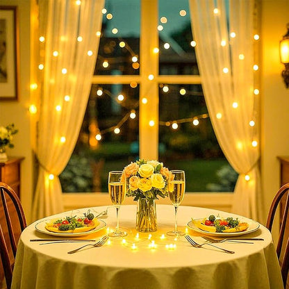 Ehome Fairy Lights, USB Operated Fairy Light Plug in 33ft 100 Led Waterproof String Lights Copper Wire Decorative String Light for Bedroom Indoor Christmas Wedding Party Patio Window