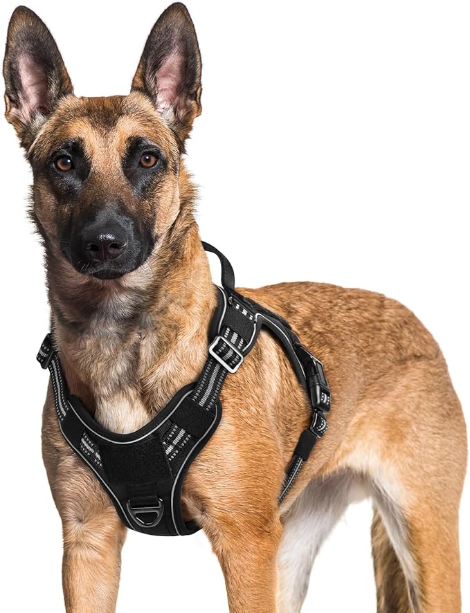 rabbitgoo Dog Harness for Large Dogs No Pull, Tactical Service Pet Vest with Molle and Control Handle, Adjustable and Reflective Military Harness for Easy Walking and Training, Black, XL-Mewly Pet