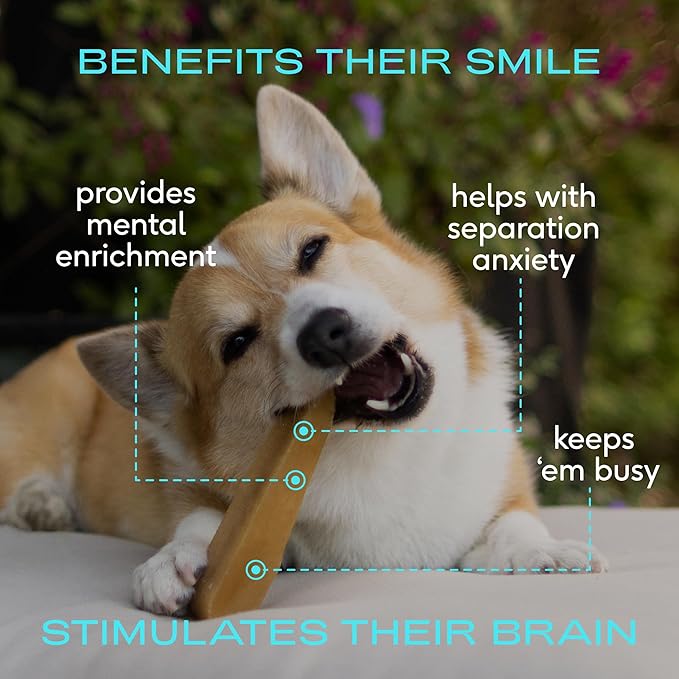 Native Pet Yak Cheese Himalayan Dog Chews - Long Lasting Dental Sticks for Small Breeds– 100% All Natural Himalayan Yak Chews for Small Dogs – Cheese Bone for Aggressive Chewers - 5 Per Pack-Mewly Pet