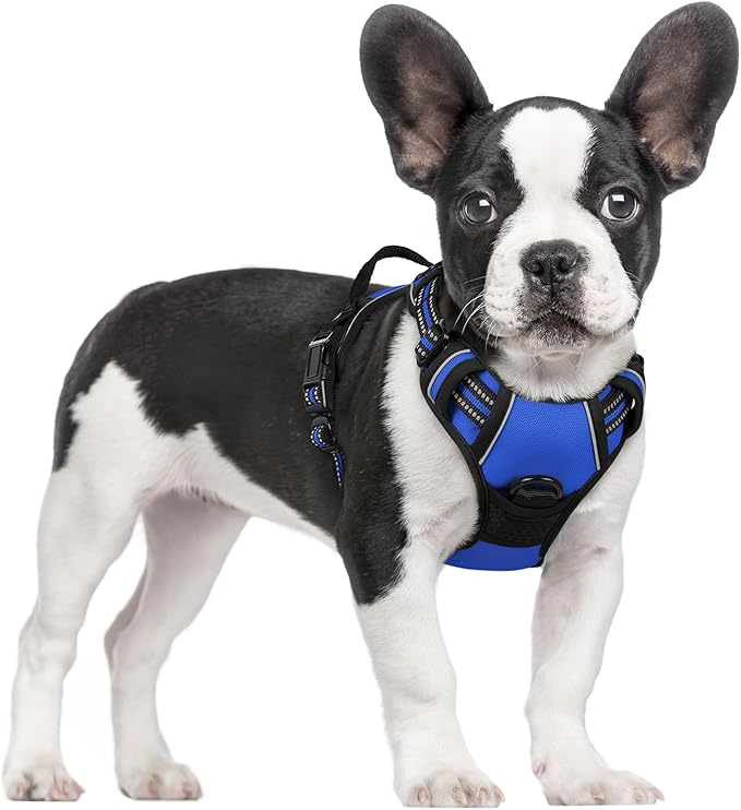 rabbitgoo Dog Harness No Pull with 2 Leash Clips, Adjustable Soft Padded, Reflective Oxford No Choke Pet Vest with Easy Control Handle for Small Dogs, Dazzling Blue, S-Mewly Pet
