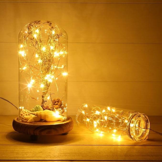 ANJAYLIA Fairy Lights, 10ft 30 LED Mini String Lights Battery Operated Firefly Starry Lights for Wedding, Bedroom, Party, Christmas, Warm White 2 Pack