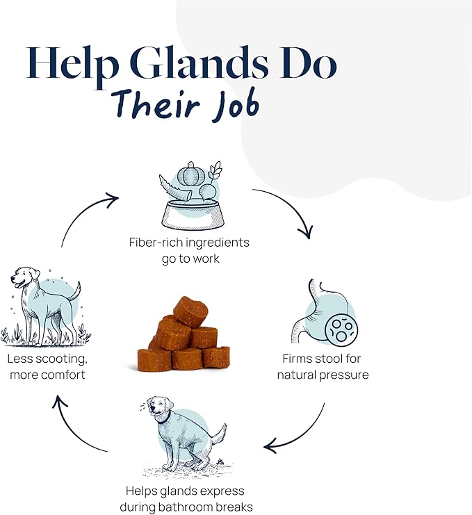 Veterinary Formula Anal Gland Support for Dogs – Vet-Formulated No Scoot Chews with Pumpkin, Ginger, Agave Inulin & Probiotics – Supports Scooting, Stool Quality & Digestive Health, 60 Soft Chews-Mewly Pet