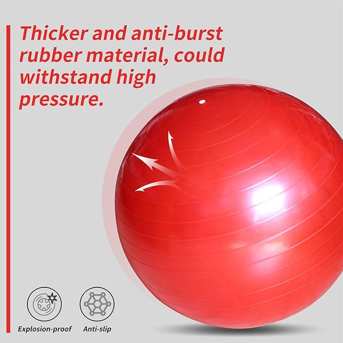 17-Inch Equine Ball for Play & Training - Anti-Burst, Mega Horse Soccer Ball for Goat, Donkey-Mewly Pet