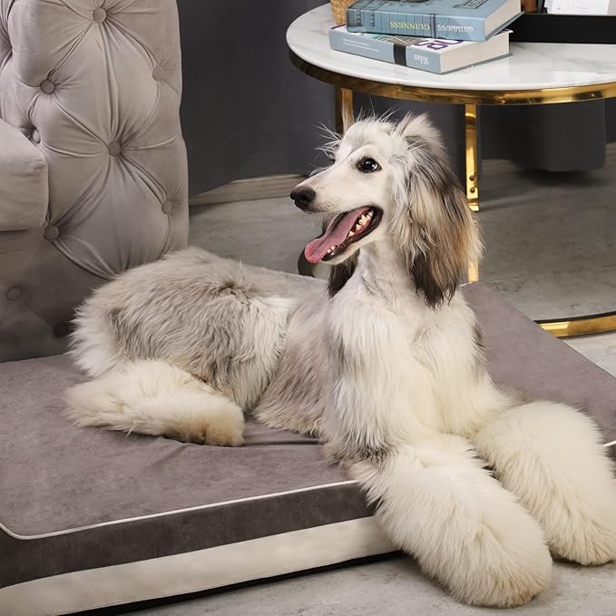 Laifug Orthopedic Memory Foam Extra Large Dog Bed with Pillow and Durable Water Proof Liner & Removable Washable Cover & Smart Design (Large (46"x28"x8"), Grey)-Mewly Pet