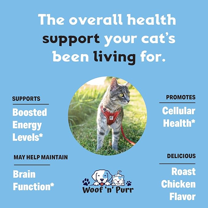 Cat Multivitamin - Promotes Healthy Skin & Coat, Joint Support, Longevity & More - Cat Vitamins - Cat Supplements & Vitamins - Cat Vitamins for Indoor Cats - Kitten Vitamins - Cat Immune Support - 1oz-Mewly Pet