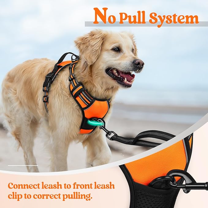 rabbitgoo Dog Harness No Pull with 2 Leash Clips, Adjustable Soft Padded, Reflective Oxford No Choke Pet Vest with Easy Control Handle for Small Dogs,Orange,S-Mewly Pet