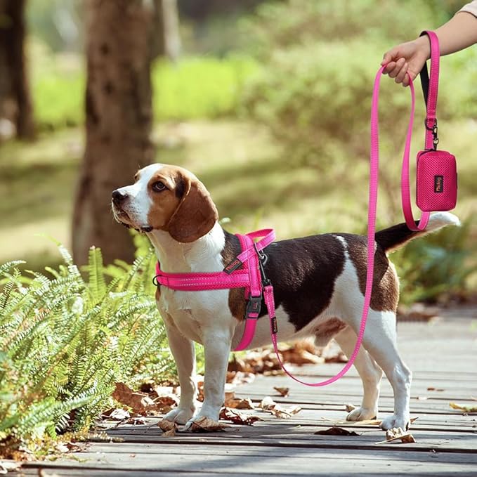 Didog No Pull Dog Harness with Soft Mesh Padded,Reflective & Quick Fit Light Weight Dog Strap Vest Harness,Easy for Walking Training (M:Chest 21-26", Mesh-Hot Pink)-Mewly Pet
