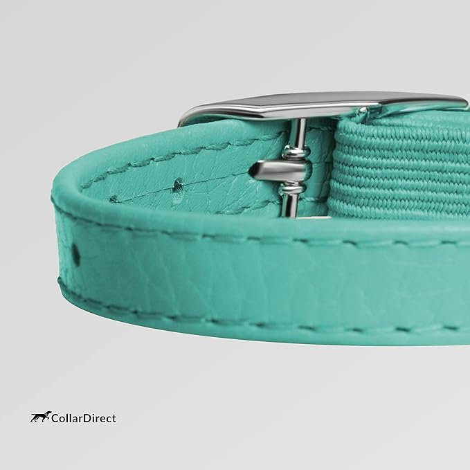 CollarDirect Leather Cat Collar, Cat Safety Collar with Elastic Strap, Kitten Collar for Cat with Bell Black Blue Red Orange Lime Green (Neck Fit 6"-7", Mint Green)-Mewly Pet