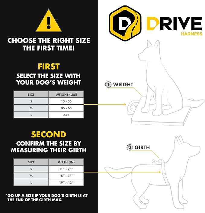 EzyDog Drive Dog Car Harness – Crash Tested and Certified (US-FMVSS 213) Dog Seat Belt Harness for Safe Travel, Adjustable with Padded Comfort (Small)-Mewly Pet