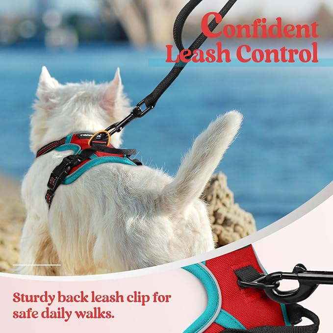 rabbitgoo Dog Harness No Pull with 2 Leash Clips, Adjustable Soft Padded, Reflective Oxford No Choke Pet Vest with Easy Control Handle for Puppy, Red & Teal, XS-Mewly Pet