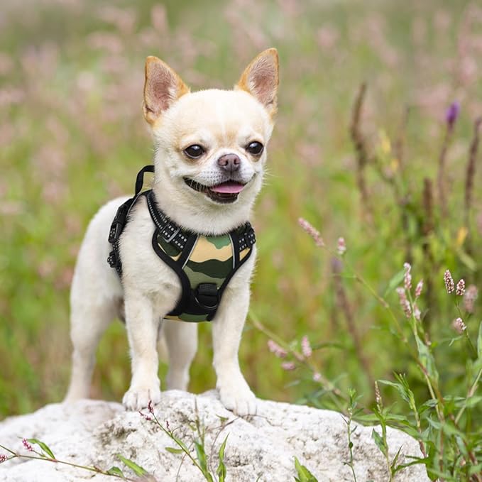 rabbitgoo Dog Harness No Pull with 2 Leash Clips, Adjustable Soft Padded, Reflective Oxford No Choke Pet Vest with Easy Control Handle for Large Dogs, Green Mountain,XS-Mewly Pet